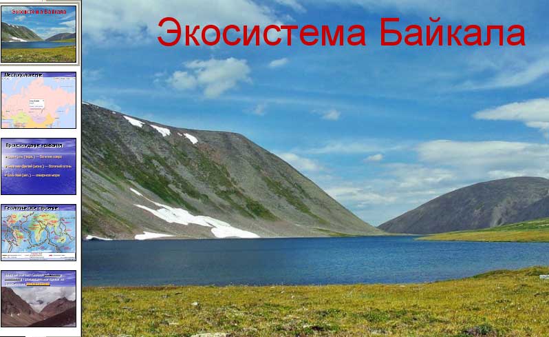Экосиситема Байкала